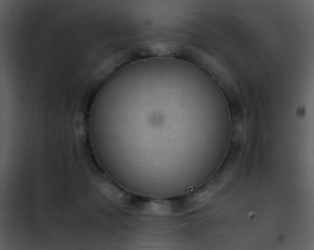 X0000101960317200807181047