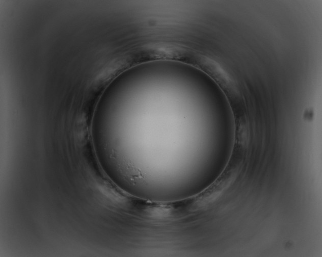 X0000101960318200807181047