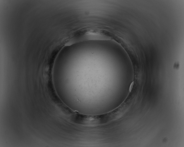 X0000101960319200807181047