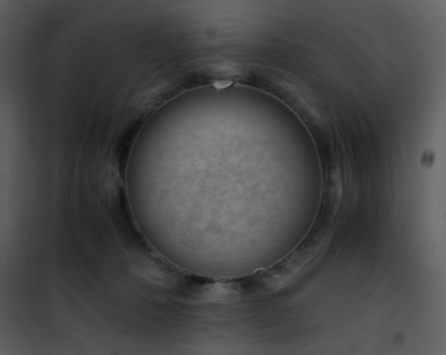X0000101960320200807181047