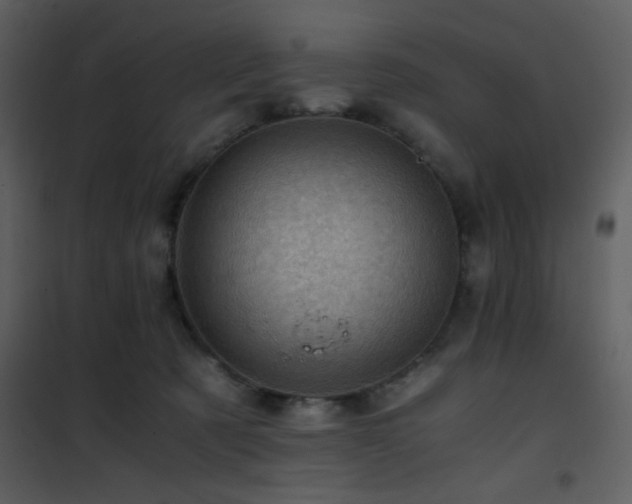X0000101960321200807181047