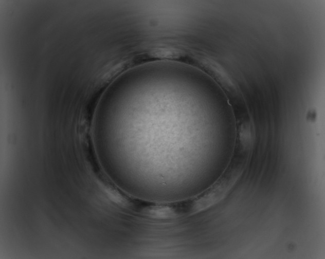 X0000101960322200807181047