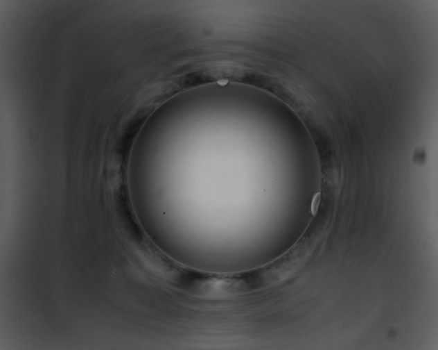 X0000101960323200807181047