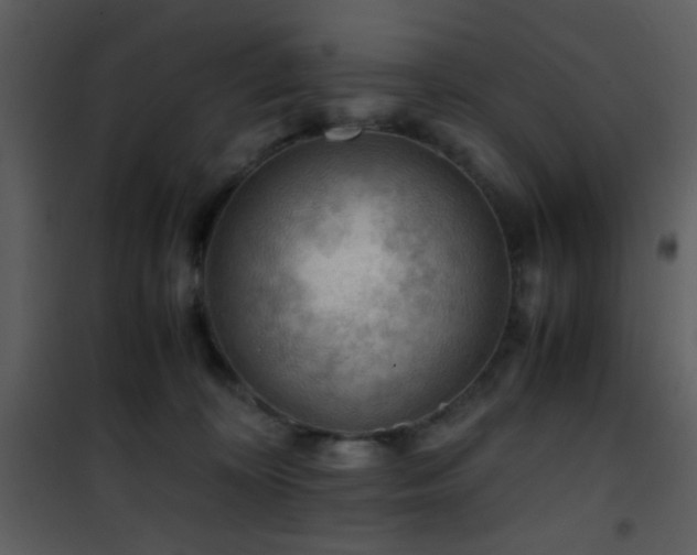 X0000101960324200807181047