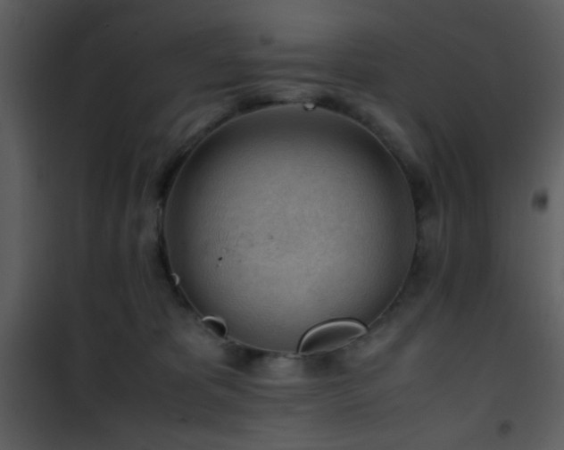 X0000101960325200807181047