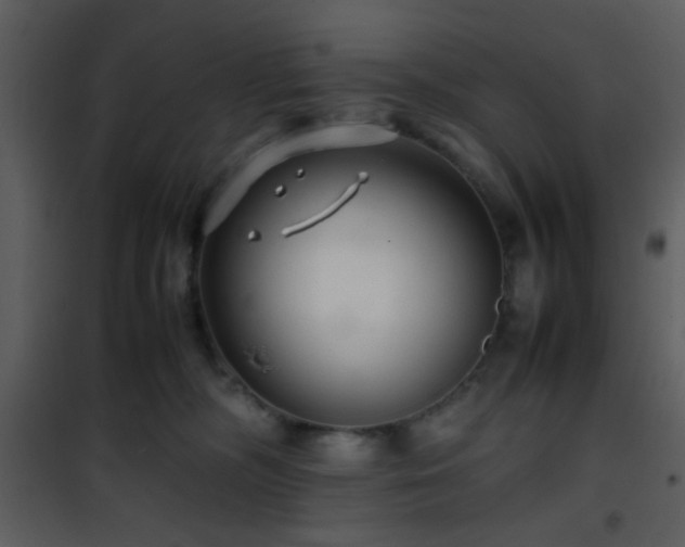 X0000101960326200807181047