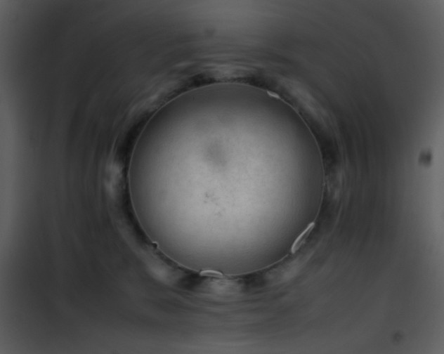 X0000101960327200807181047