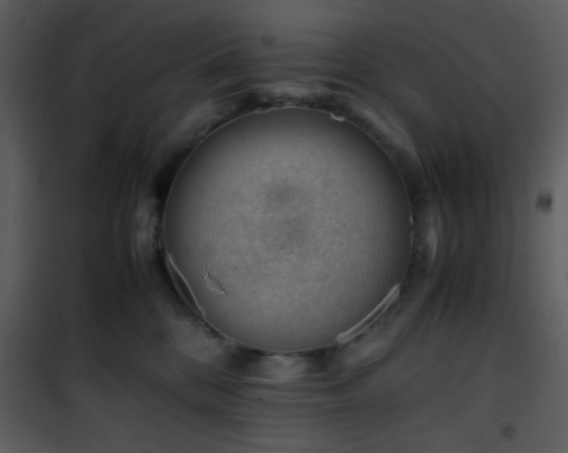 X0000101960328200807181047