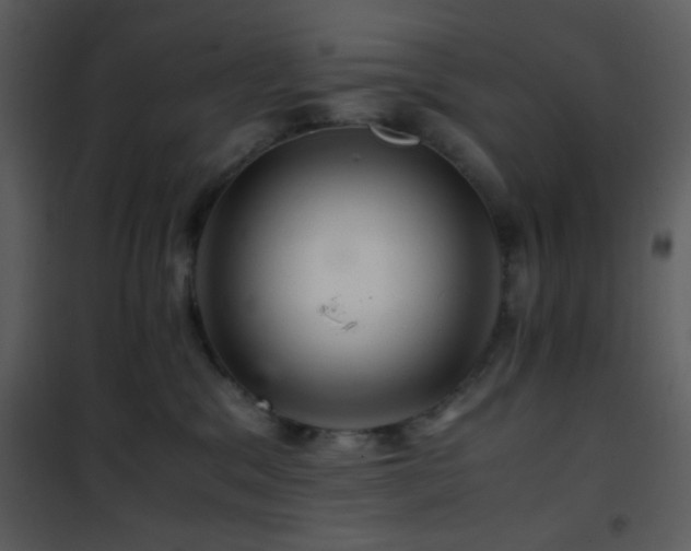 X0000101960329200807181047
