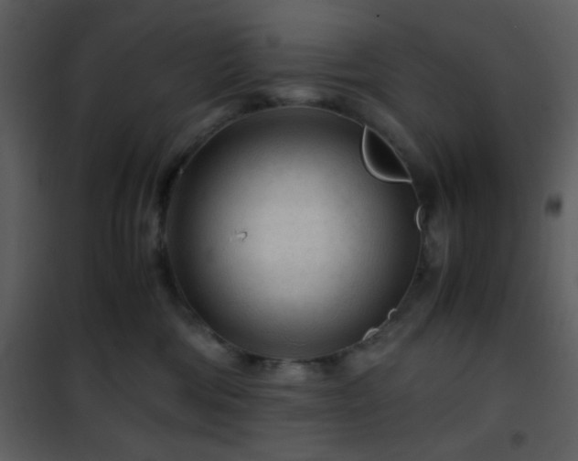 X0000101960330200807181046