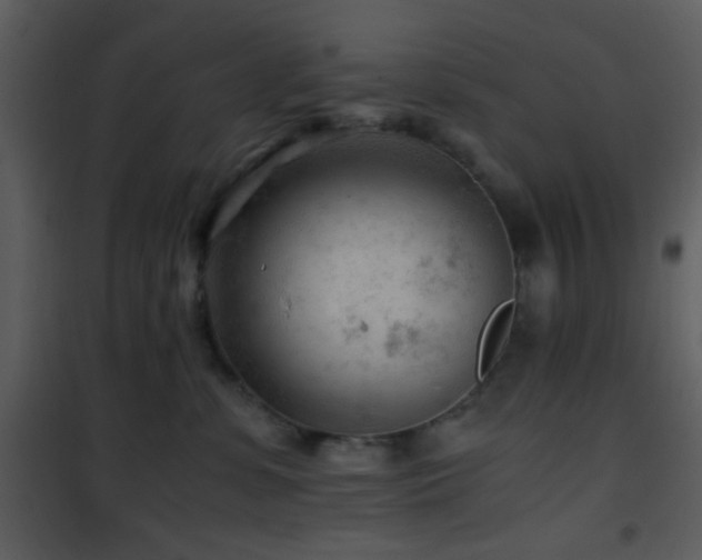 X0000101960331200807181046