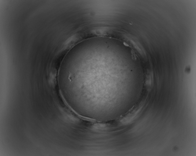 X0000101960332200807181046