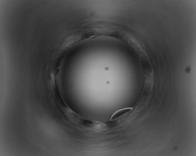 X0000101960333200807181046