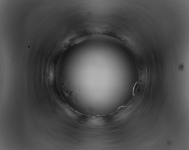 X0000101960334200807181046