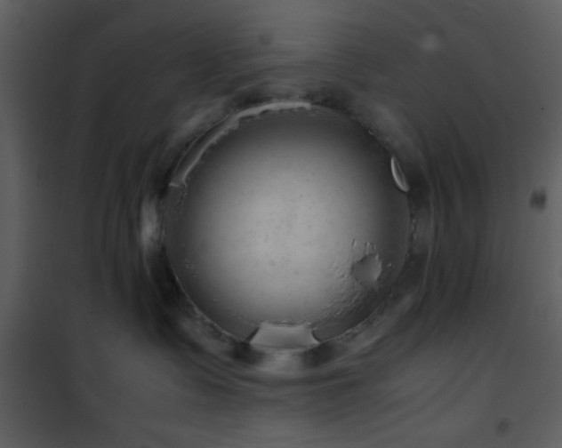X0000101960335200807181046
