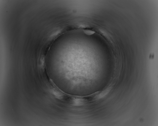 X0000101960336200807181046