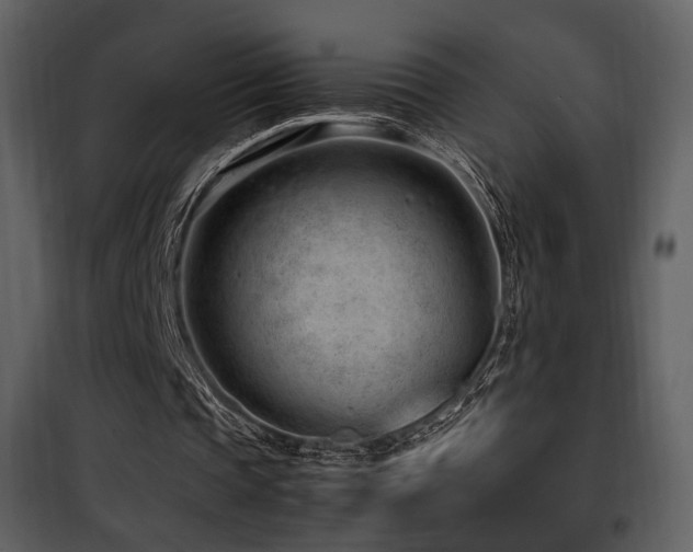 X0000101960337200807181046