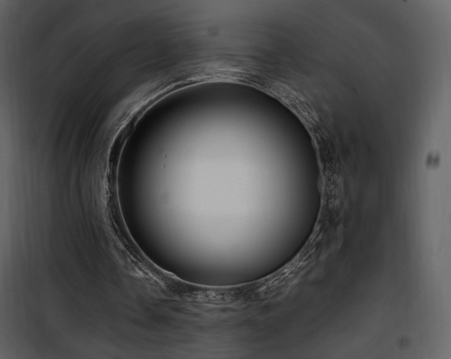 X0000101960338200807181046