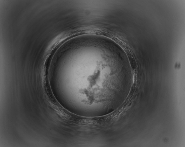 X0000101960339200807181046