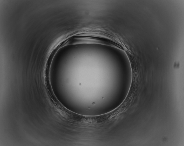 X0000101960340200807181046