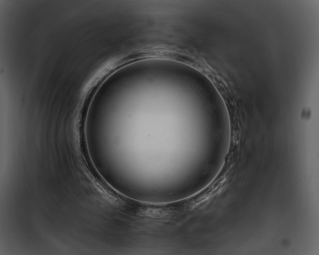 X0000101960341200807181046