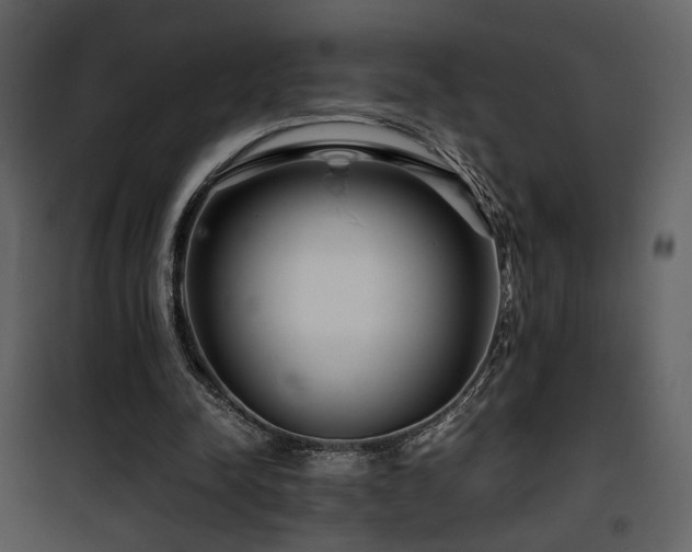 X0000101960342200807181046
