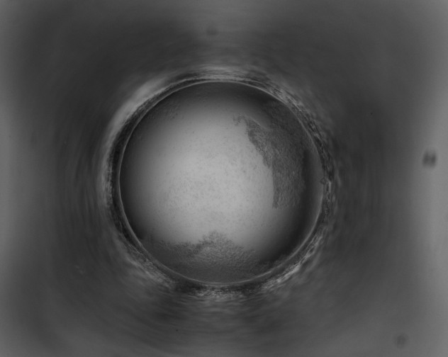 X0000101960343200807181046