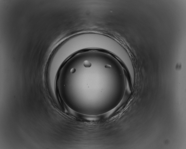 X0000101960344200807181046