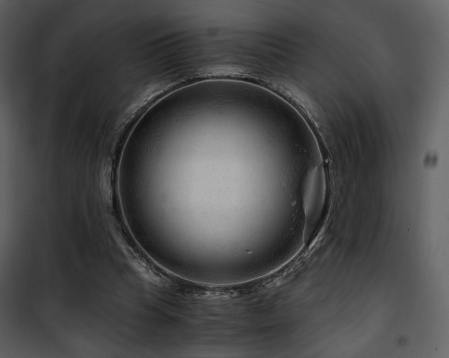 X0000101960345200807181046