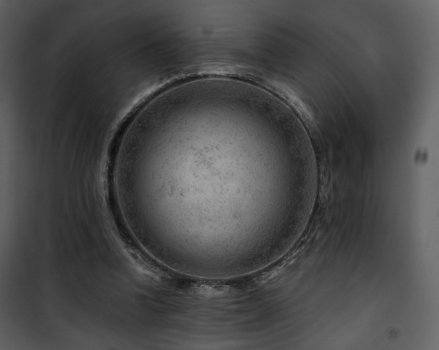 X0000101960346200807181046