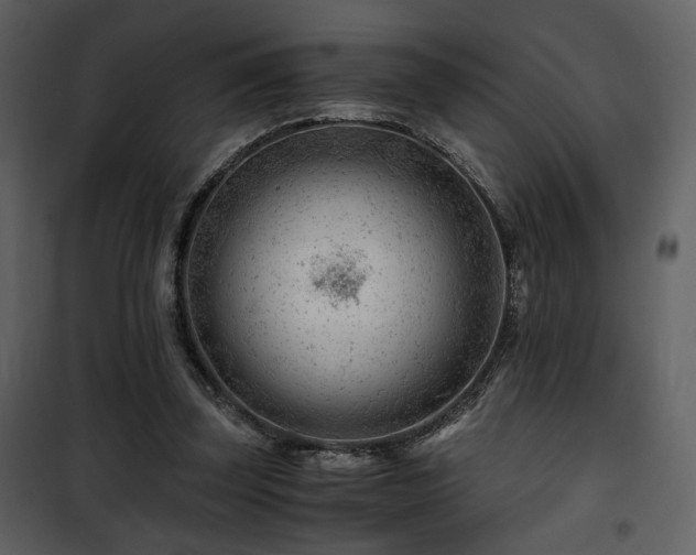 X0000101960347200807181046