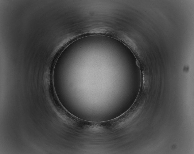 X0000101960348200807181046