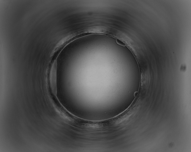 X0000101960349200807181046