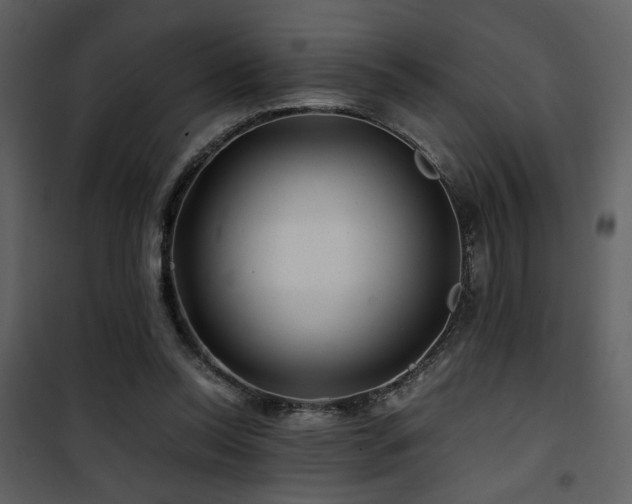 X0000101960350200807181046
