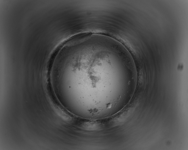 X0000101960351200807181046