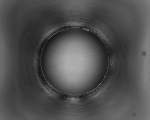 X0000101960352200807181046