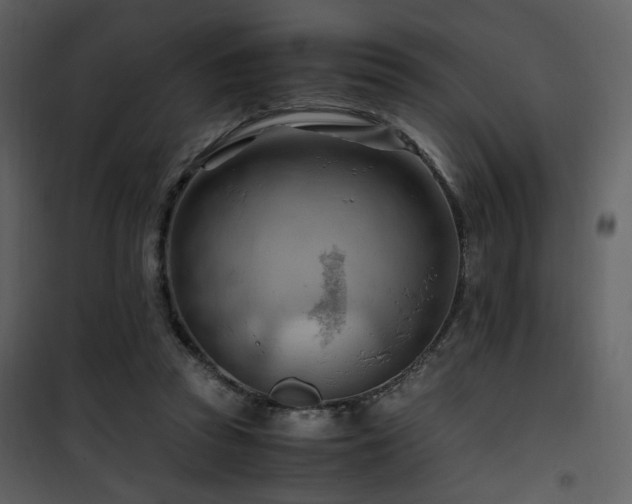 X0000101960353200807181046