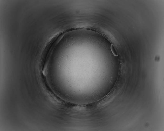 X0000101960354200807181046