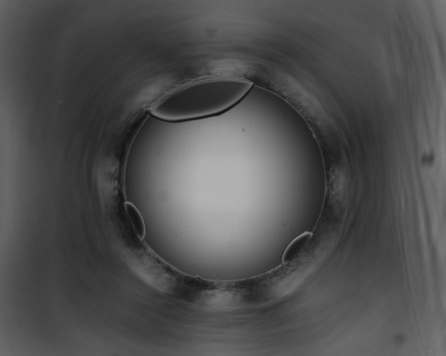 X0000101960356200807181046