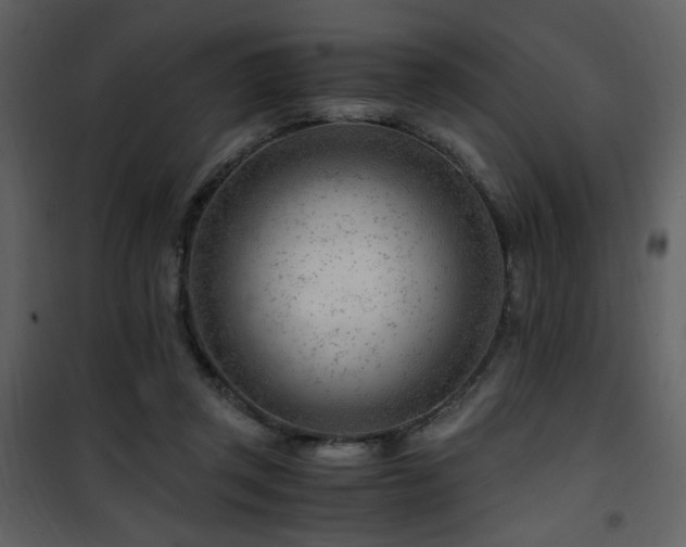 X0000101960357200807181046