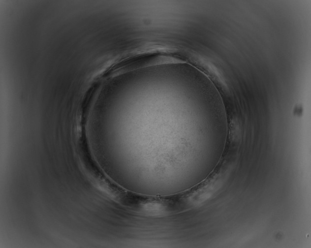 X0000101960358200807181046
