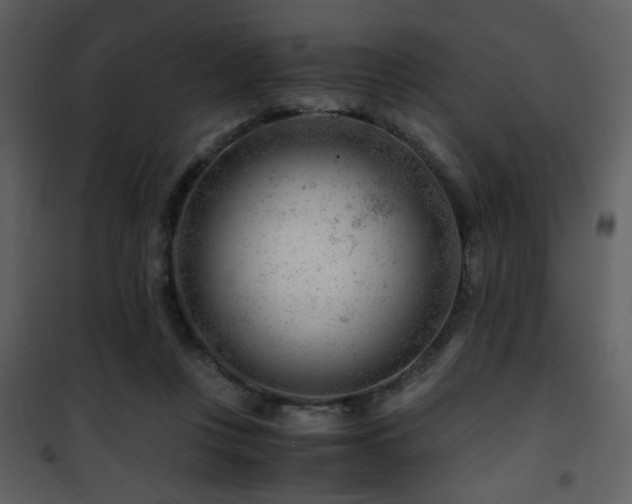 X0000101960359200807181046
