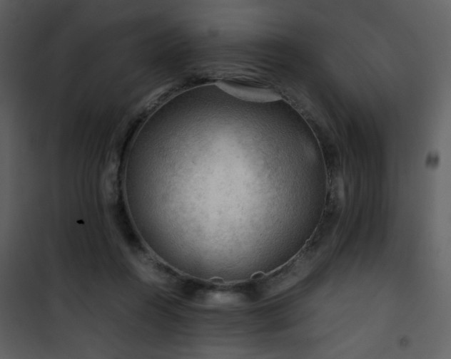 X0000101960360200807181046