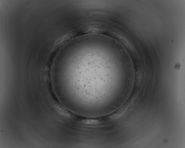 X0000101960361200807181046