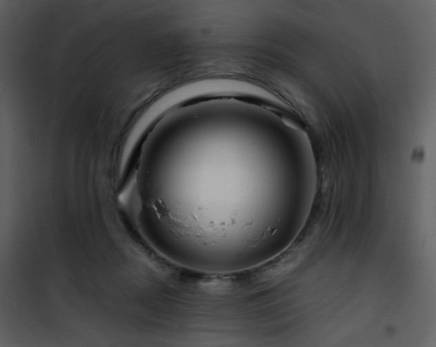 X0000101960362200807181046