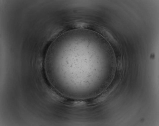 X0000101960363200807181046
