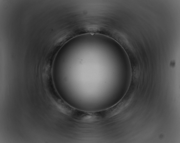 X0000101960364200807181046