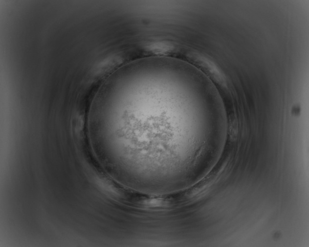 X0000101960365200807181046