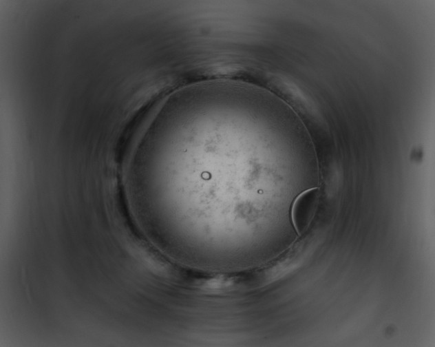 X0000101960366200807181046