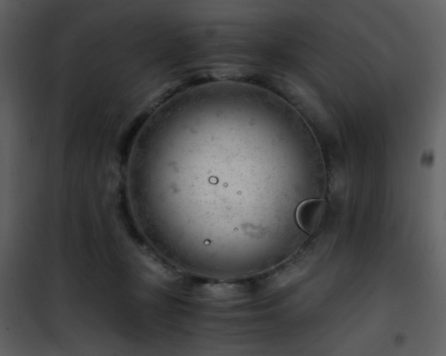 X0000101960367200807181046